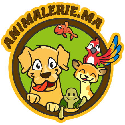 animalerie