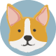 DOG / CHIEN