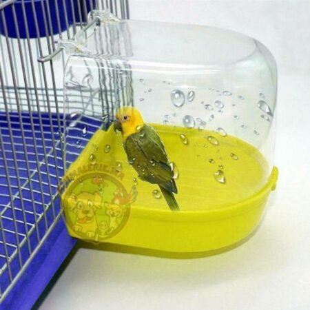 Baignoire Bain pour les petits et moyens oiseaux.