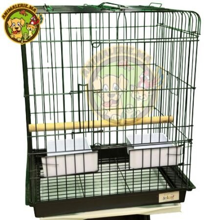 Cage perroquet et oiseaux