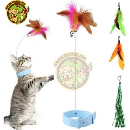 Jouet de collier de chat