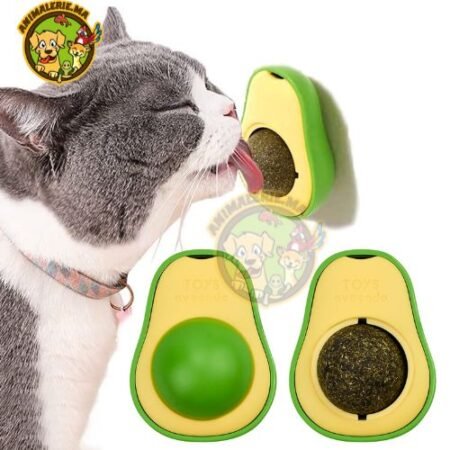 Jouet herbe à chat catnip collant sculpté à l'avocat pour chat