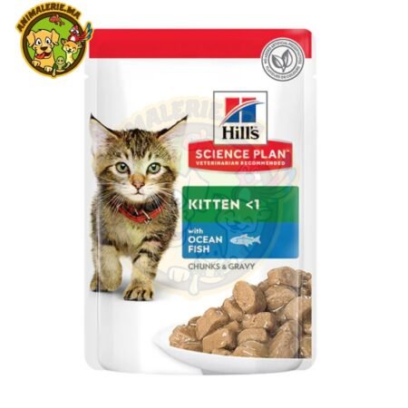 Hill’s Science Plan Kitten en humide au Poisson Ocean Fish en pochons 85g