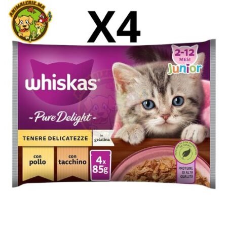 Whiskas Junior Pure Delight nourriture humide pour chats en croissance de 2 à 12 mois