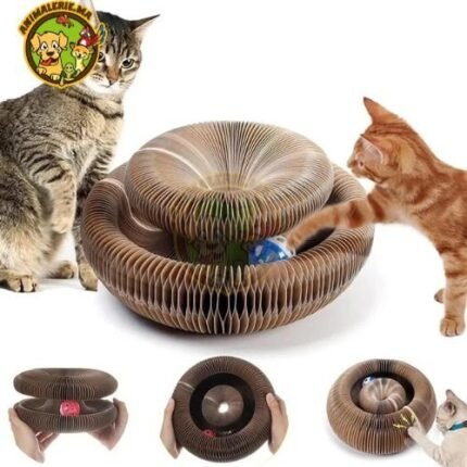 Grattoir magique pour chat pliable, avec balle interactive pour amusement