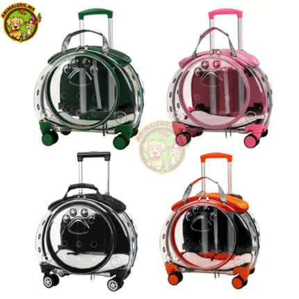 Valise de transport pour chat et chien