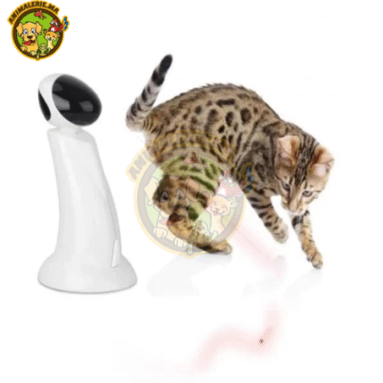 jouet Interactive – Lazer Beam