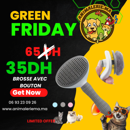 brosse avec bouton chat chien
