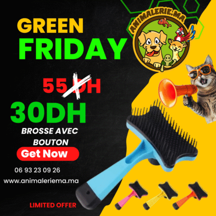 brosse avec bouton chien et chat