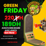 Griffoir 2 Faces avec 3 Balles – Jeu & Griffades pour Chat