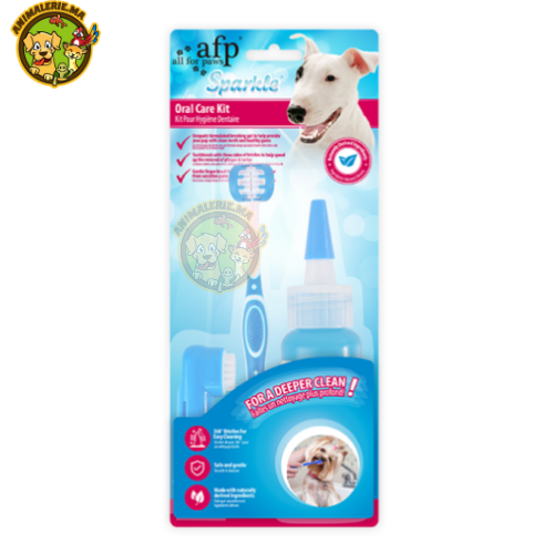 16 Sparkles – Oral Care Kit – Image 1