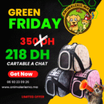 sac pour chat et chien animaux