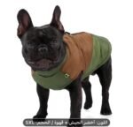 Manteau matelassé chaud pour chat et chien 🐾 – Image 3
