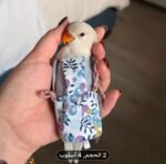🦜 Vêtements hygiéniques pour oiseaux (type couche)