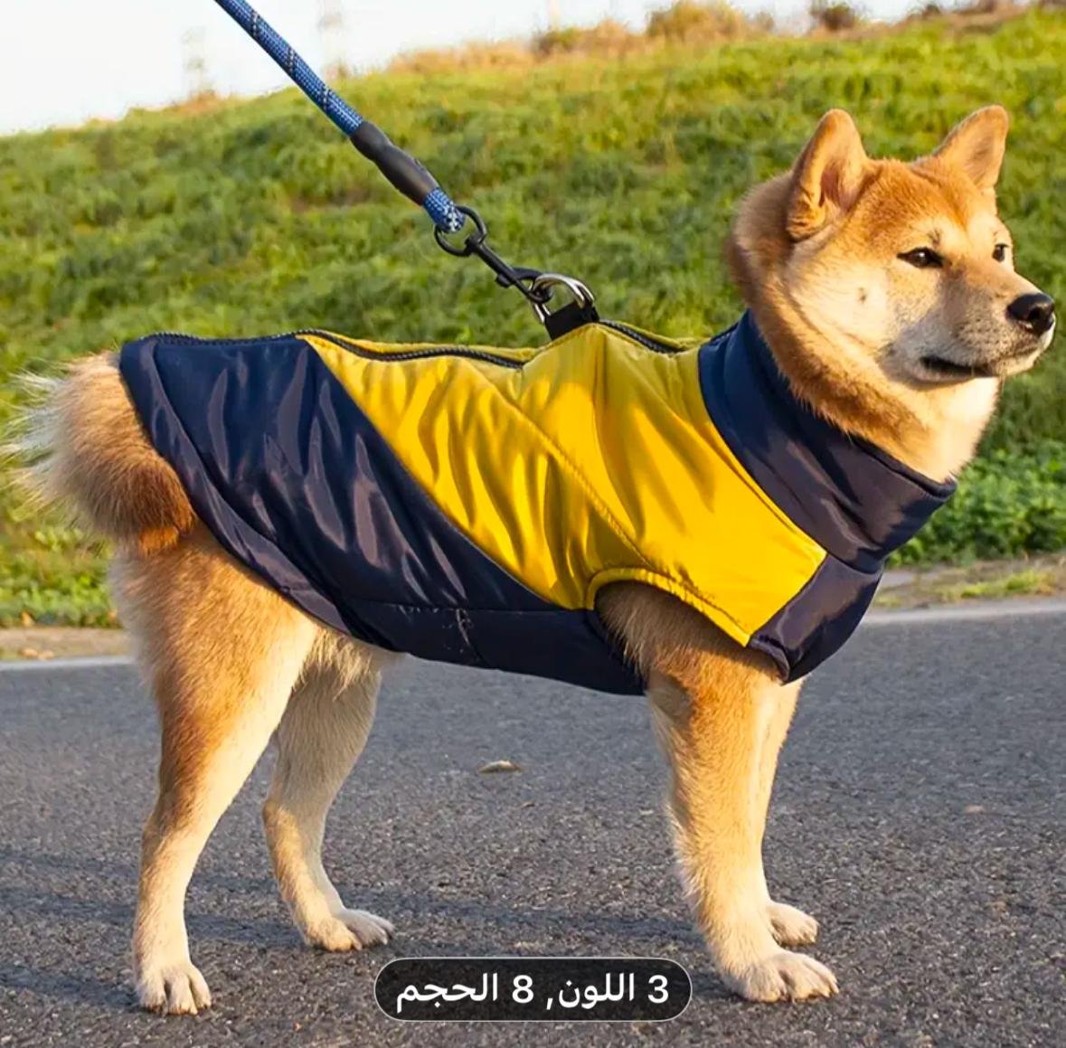 WhatsApp Image 2026-01-30 at 18.45.13 Manteau matelassé chaud pour chat et chien 🐾 – Image 1