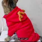 🧥 Sweat à capuche chaud pour chien & chat – Design original – Image 4
