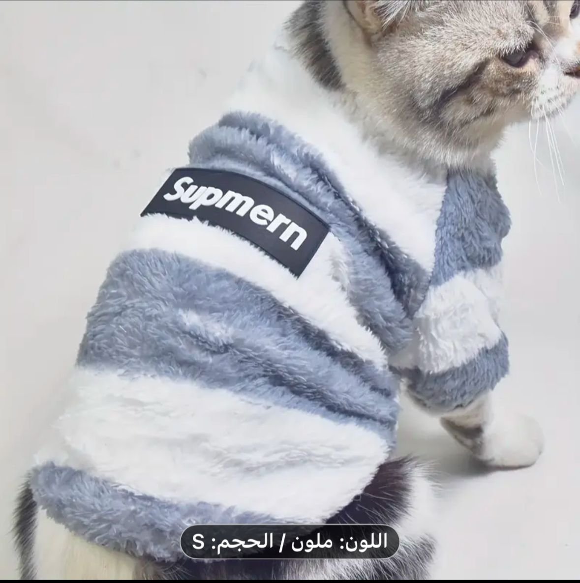 WhatsApp Image 2026-01-30 at 18.45.18 (6) 🧥 Manteau d’hiver doux pour chien & chat – Style moderne – Image 1