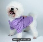 🐻 Sweat à Capuche pour Chien & Chat – “Sweet Time” (Violet) – Image 4