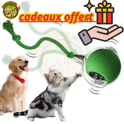 🟠 Robot Interactive Automatique pour Chat & Chien