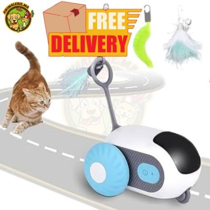🚗 Jouet Interactif Automatique en Forme de Voiture – Chat & Chien