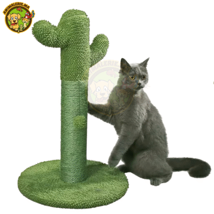 Griffoir pour Chat en Forme de Cactus – Protège Vos Meubles 🐱🌵