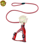 Laisse avec Harnais Fluorescent pour Chien & Chat – Image 5