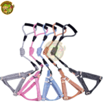 harnais plus laisse  utile pour toute race medium – Image 2