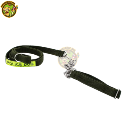 laisse plus collier étrangleur