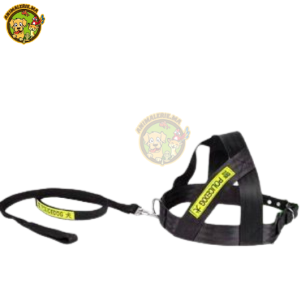 harnais plus laisse police