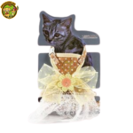 Harnais avec Laisse Style Jupe pour Petit Chien & Chat – Image 2