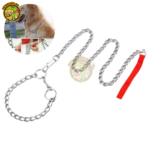 Collier avec Laisse en Chaîne pour Chien