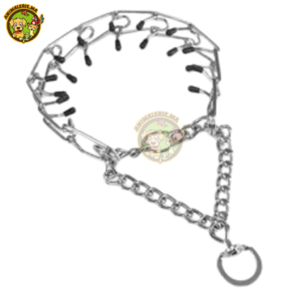Collier Étrangleur à Pointes pour Chien