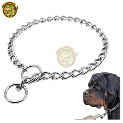 Collier de Dressage en Chaîne pour Chien