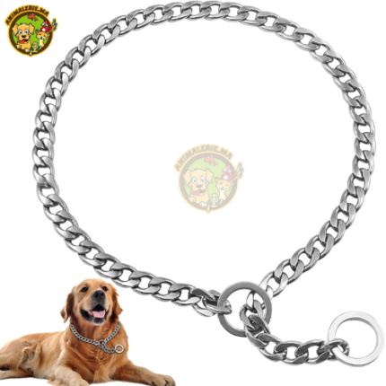 Collier de Dressage en Chaîne pour Chien