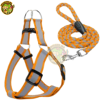 Laisse avec Harnais Fluorescent pour Chien & Chat