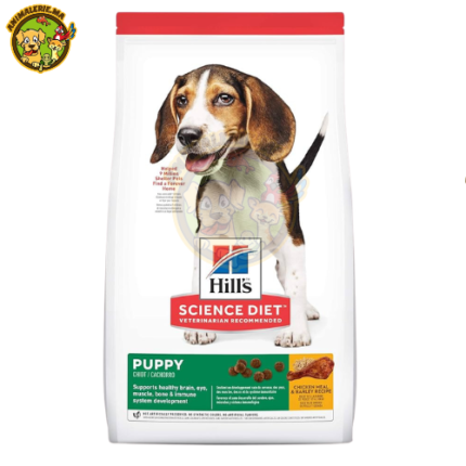 Hill’s Science Plan Aliment Pour Chien Adulte Medium Au Poulet