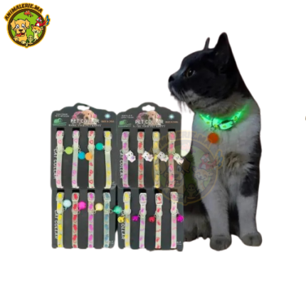 Collier Lumineux pour Chat